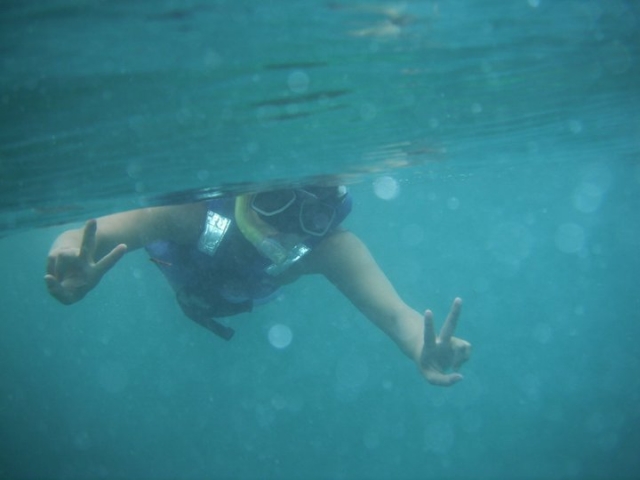 Snorkel y diversion